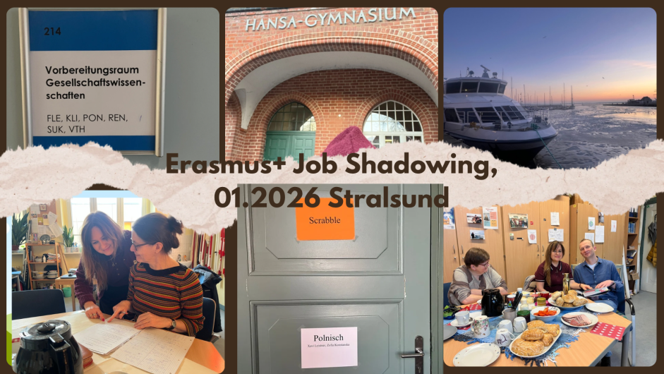 Obraz Job Shadwing, 01.2026, Niemcy