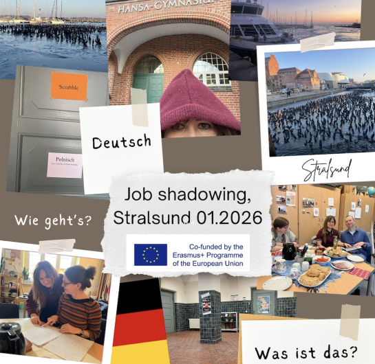 Obraz Job Shadwing, 01.2026, Niemcy