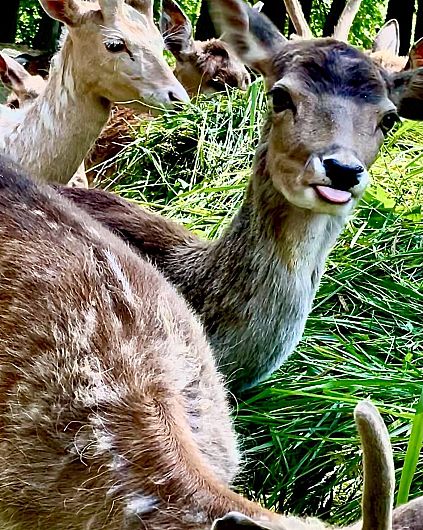 Obraz Lekcja biologii w plenerze