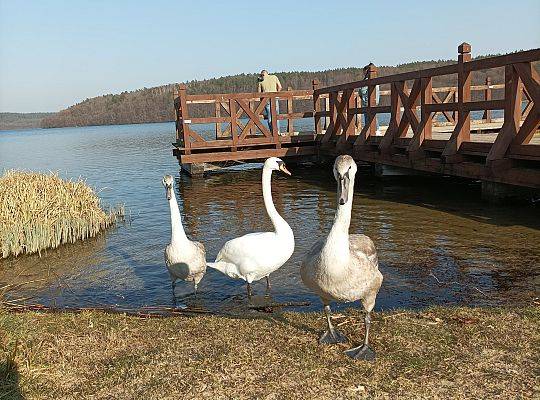 Pierwszy Dzień Wiosny