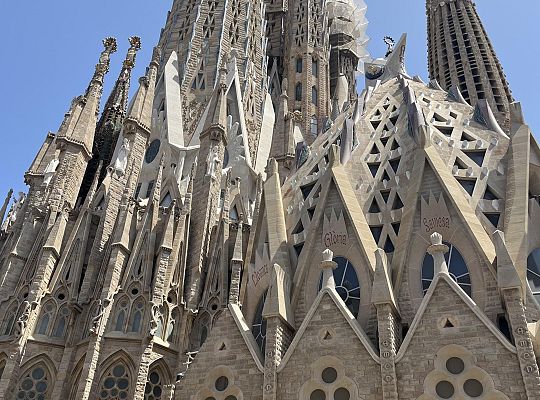 SpainBcn-Programms STAFF TRAINING- ENGLISH-COURSE, Barcelona