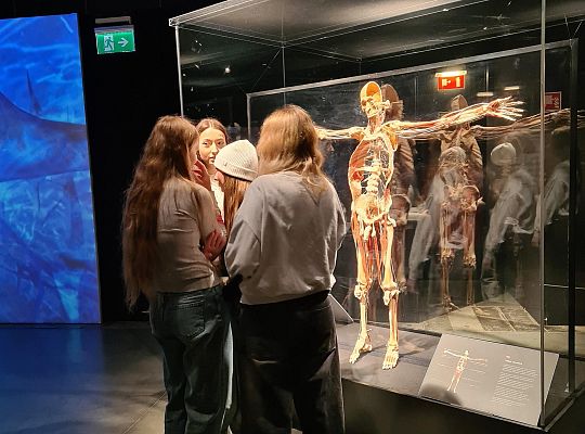 Wycieczka na wystawę Body Worlds