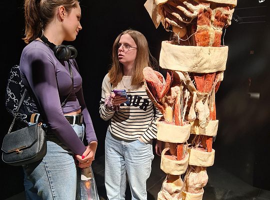 Wycieczka na wystawę Body Worlds