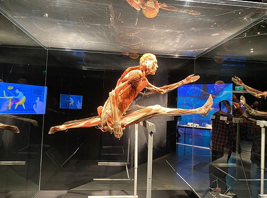 Wycieczka na wystawę Body Worlds