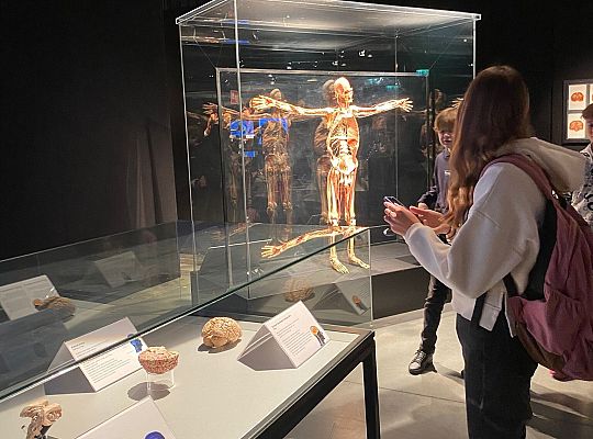 Wycieczka na wystawę Body Worlds