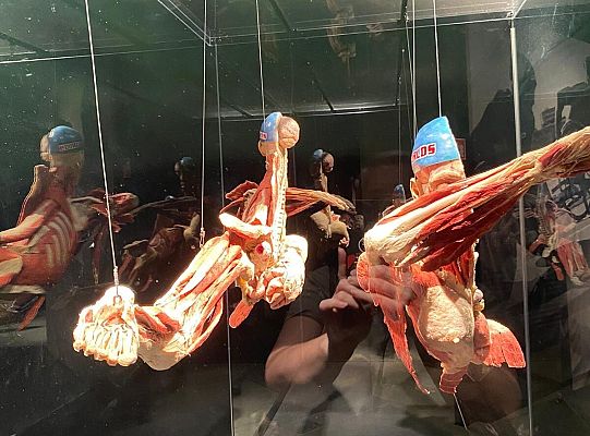 Wycieczka na wystawę Body Worlds