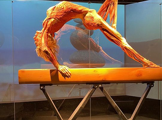 Wycieczka na wystawę Body Worlds