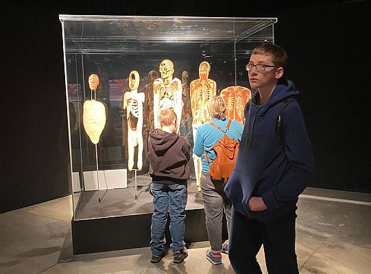 Wycieczka na wystawę Body Worlds