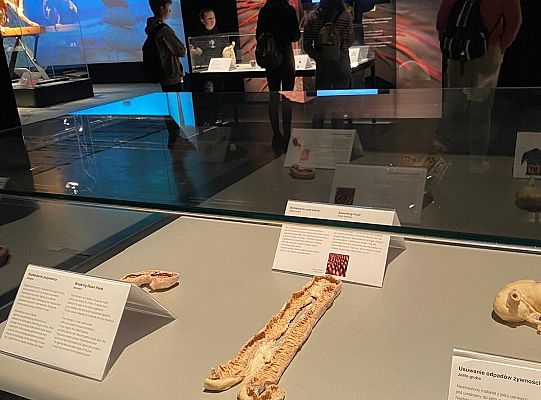 Wycieczka na wystawę Body Worlds