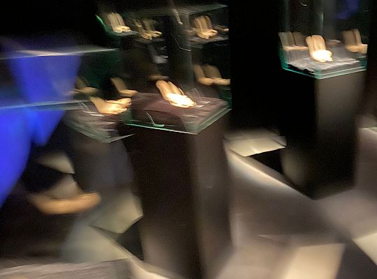 Wycieczka na wystawę Body Worlds