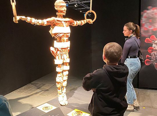 Wycieczka na wystawę Body Worlds