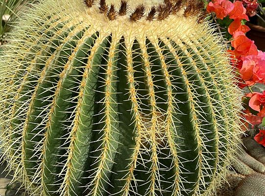 Działania projektowe Erasmus+ Słowacja