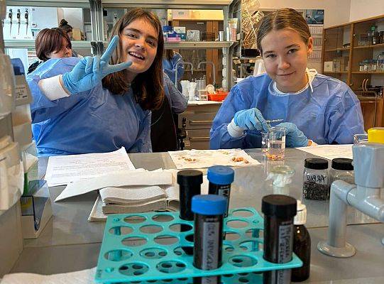 Kolejny dzień na UG