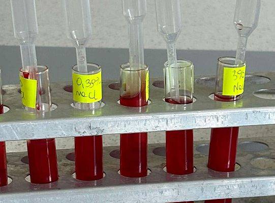 Kolejny dzień na UG