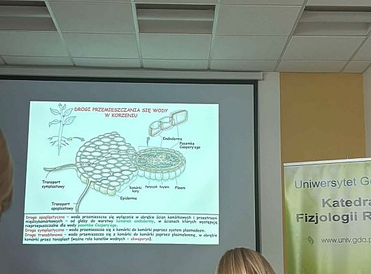 Kolejny dzień na UG