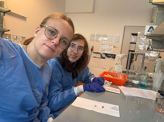 Kolejny dzień na UG