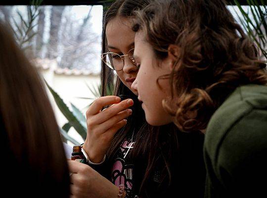 Współpraca Senior- Młodzież, warsztaty w Gdańsku 19.12.2024