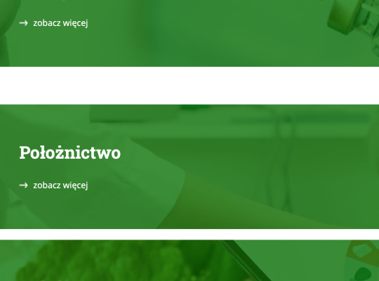 Gość w SLO.