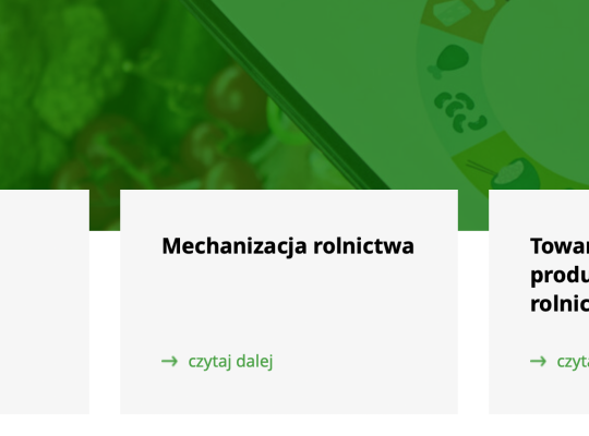 Gość w SLO.