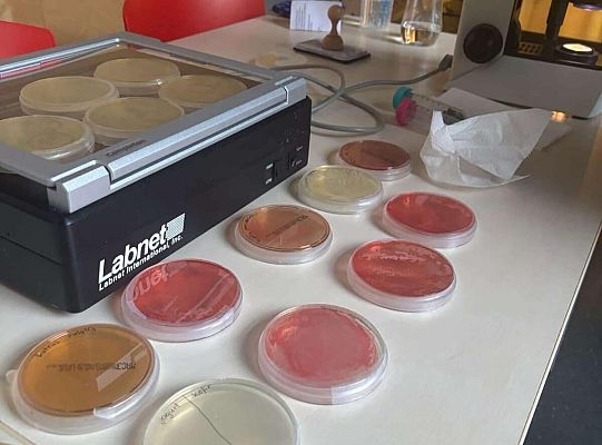 Udział w dniach otwartych Wdziału Chemicznego UG