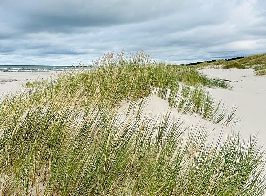 #Erasmus Days 2025,  goście z Portygalii, Włoch i Luksemburga, IX Edycja Biegu  Erasmusa 2025