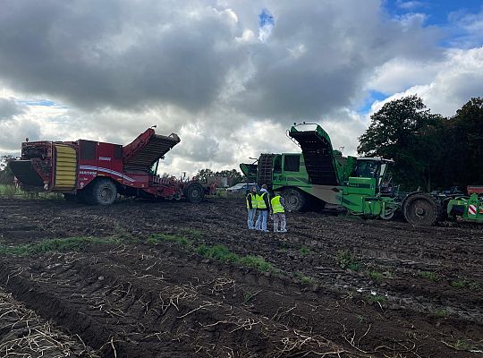 #Erasmus Days 2025,  goście z Portygalii, Włoch i Luksemburga, IX Edycja Biegu  Erasmusa 2025