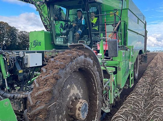 #Erasmus Days 2025,  goście z Portygalii, Włoch i Luksemburga, IX Edycja Biegu  Erasmusa 2025