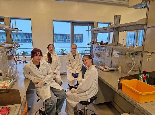 Zajęcia laboratoryjne na UG.