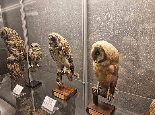 Zajęcia laboratoryjne na UG.