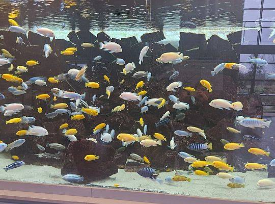 Zajęcia laboratoryjne na UG.