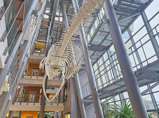 Zajęcia laboratoryjne na UG.