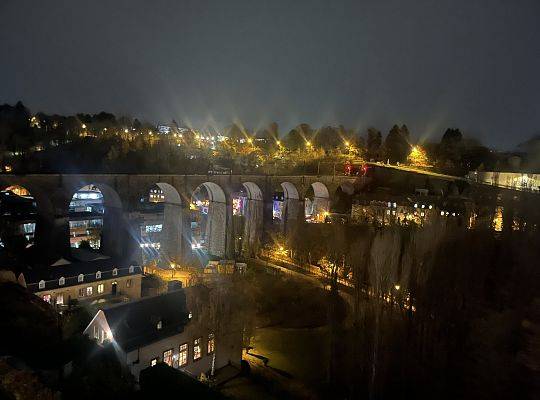 Uczniowie SLO w Parlamencie Europejskim w Luksemburgu.