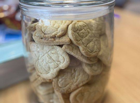 DZIEŃ OTWARTYCH  DRZWI W SLO