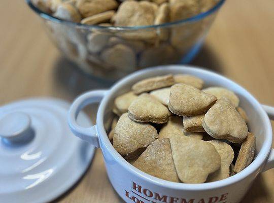 DZIEŃ OTWARTYCH  DRZWI W SLO