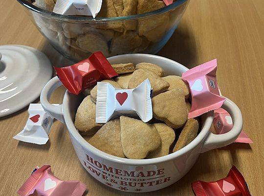 DZIEŃ OTWARTYCH  DRZWI W SLO