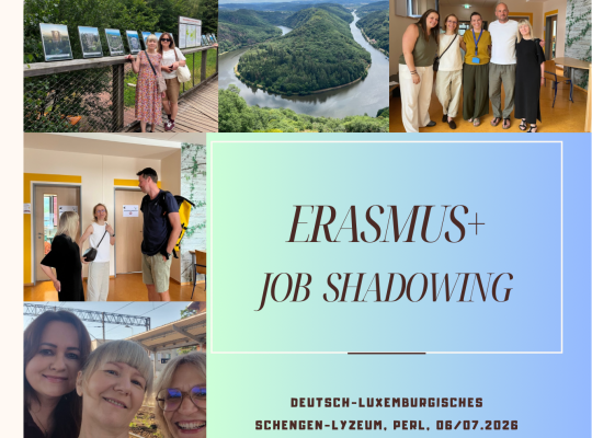 Job shadowing 06/07.2026, Perl, Niemcy/Luksemburg
