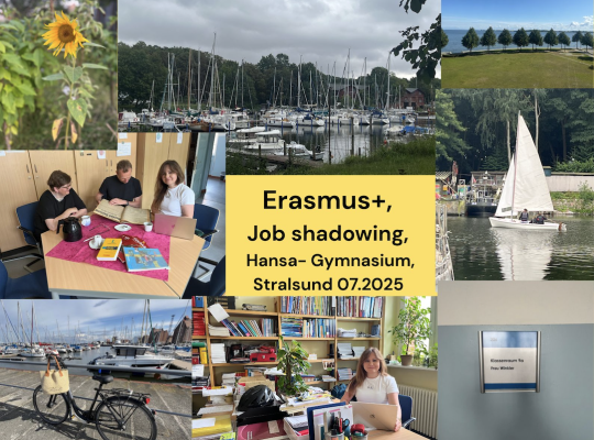 Job shadowing , 07.2025 Hansa-Gymnasium, Stralsund