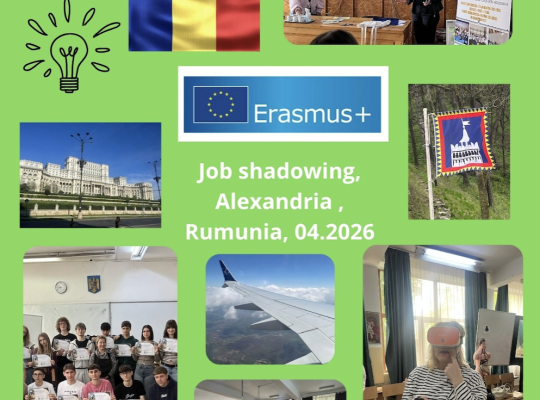 Job shadowing, Alexandria, Rumunia 04.2026