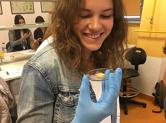 Pomorskie Warsztaty Naukowe - Zdolni z Pomorza