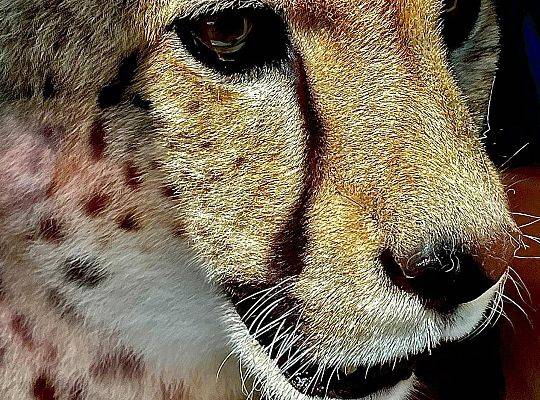 Lekcja biologii w plenerze