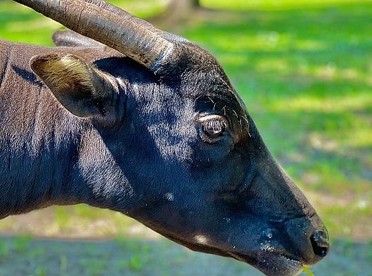 Lekcja biologii w plenerze