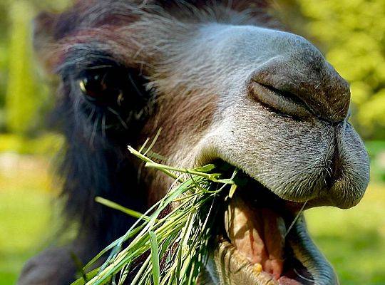 Lekcja biologii w plenerze