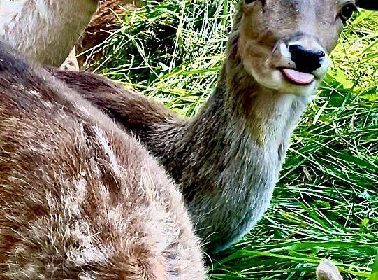 Lekcja biologii w plenerze