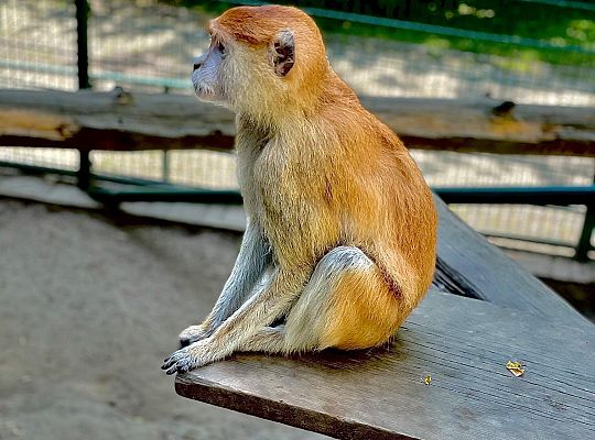 Lekcja biologii w plenerze